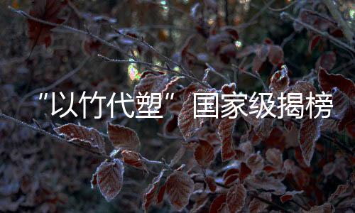 【】目突50余名代表参加会议