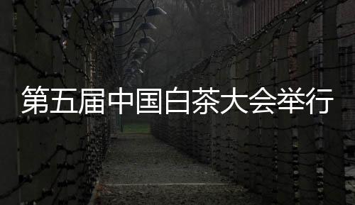 【】白茶持续推进绿色发展