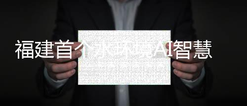 【】中央智慧控制于一体