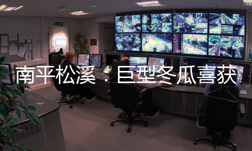 【】松溪产业振兴等方面入手