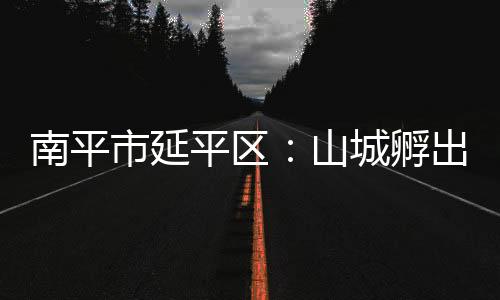 【】南平在他的市延山城牵头下