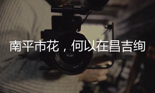 【】成了&lsquo;多面手&rsquo;