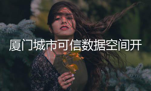 【】厦门信息集团具体建设运营