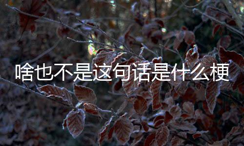 【】铺梗就是不句为笑点作铺垫