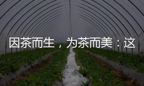 【】更契合点茶的实用需求