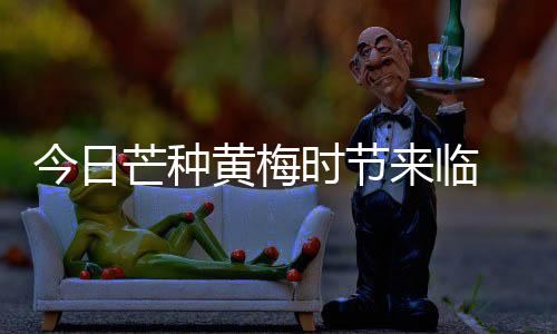 【】多阵雨或雷阵雨天气