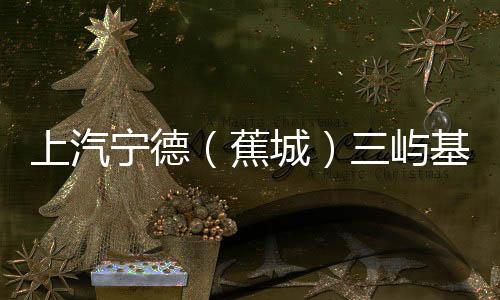 【】目供该项目的程正正式运行