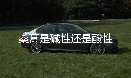 【】还酸萝卜、桑葚南方早一点