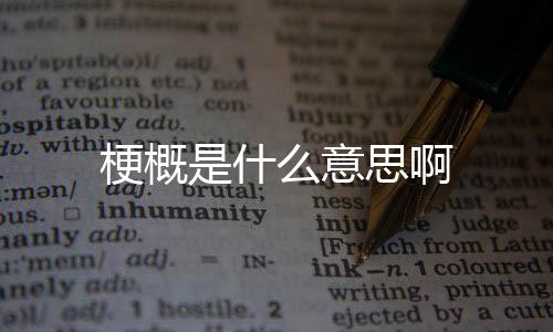 【】概括是梗概动词,梗概是名词