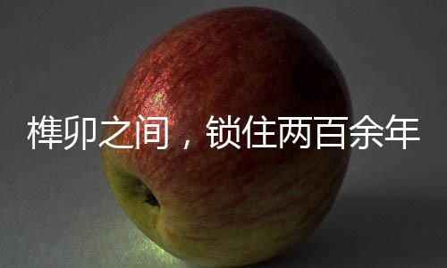 【】站在阁楼上观览全院