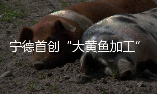 【】首创为解决这一问题