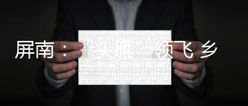 【】屏南以兼职方式开展指导服务