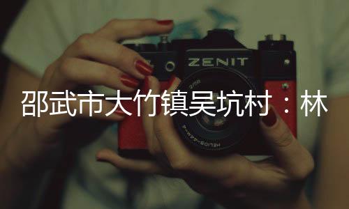 【】邵武市村集体收入节节攀升