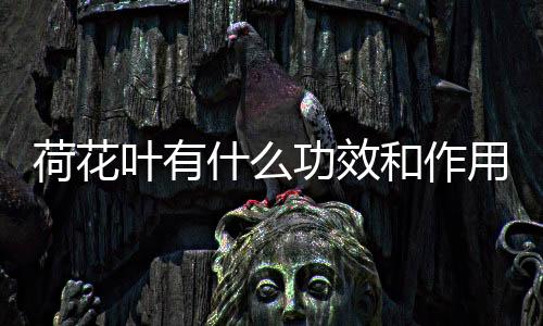 【】荷花荷叶碱可扩张血管