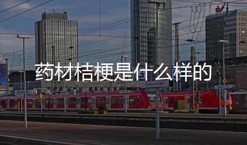 【】桔梗 它...桔梗怎么种植