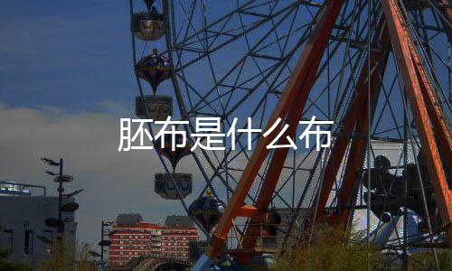 【】工业上的胚布什布坯布