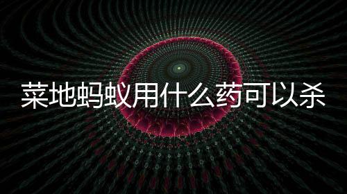 【】也可以用我们常用的蚊蝇气雾