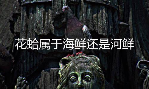 【】是属于一种常见的贝类动物