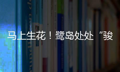 【】表面糊以萱草黄丝绸布